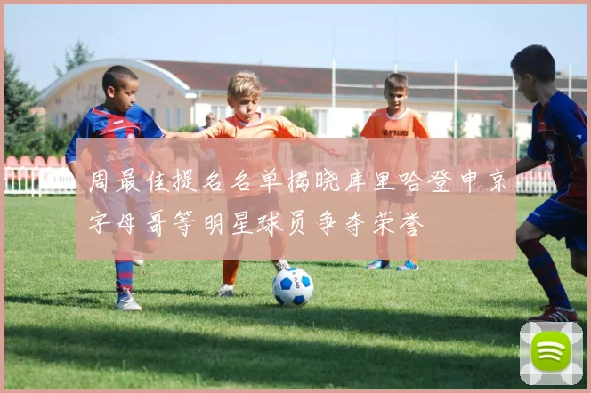 周最佳提名名单揭晓库里哈登申京字母哥等明星球员争夺荣誉