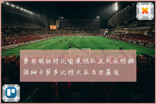 费尔明独特比喻展现队友风采特狮领袖卡萨多比特犬亚马尔最佳