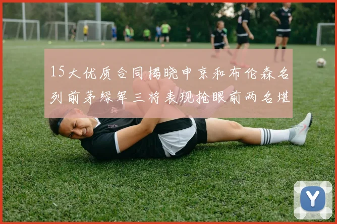 15大优质合同揭晓申京和布伦森名列前茅绿军三将表现抢眼前两名堪称传奇