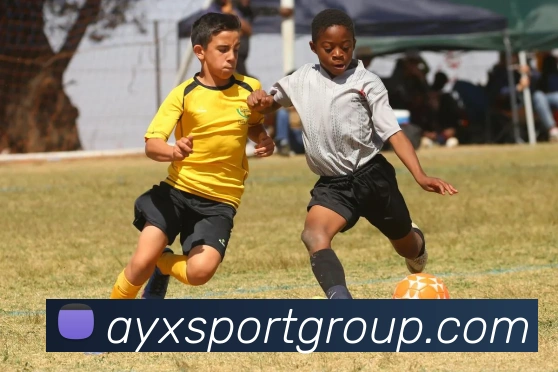 爱游戏体育APP 高清赛事图